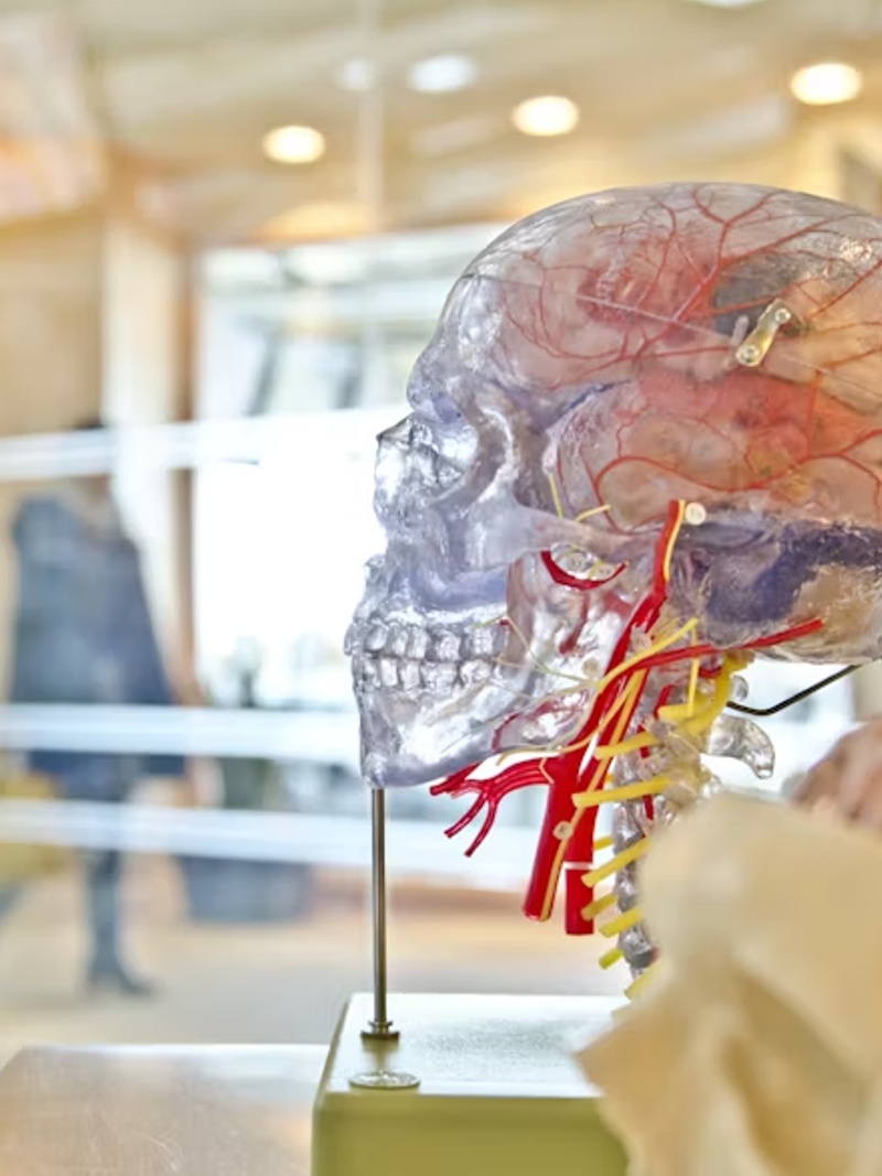 Livros, Exposições e Materiais Didáticos